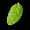 leave